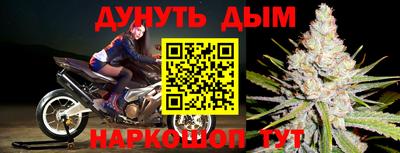 молекула духа Партизанск