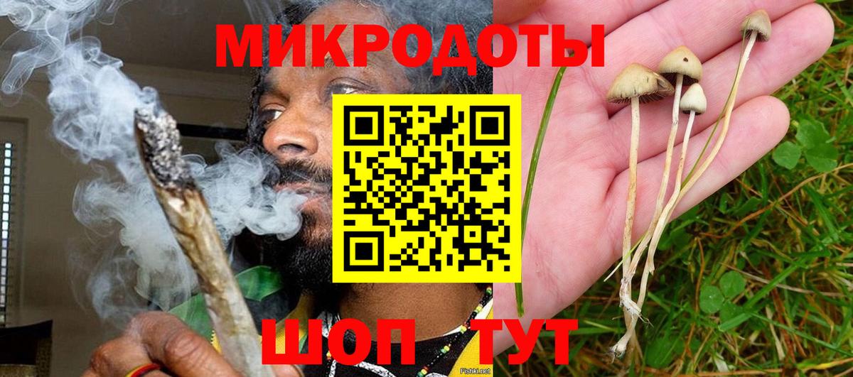 Галлюциногенные грибы MAGIC MUSHROOMS Солнечногорск